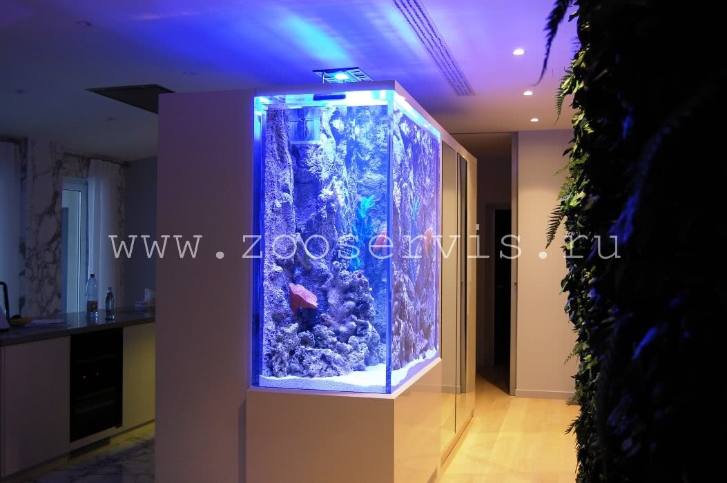  Высокий морской аквариум в интерьере квартиры на просвет в Стиле Хай-Тек 