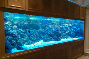 Морской аквариумный комплекс 5300 литров